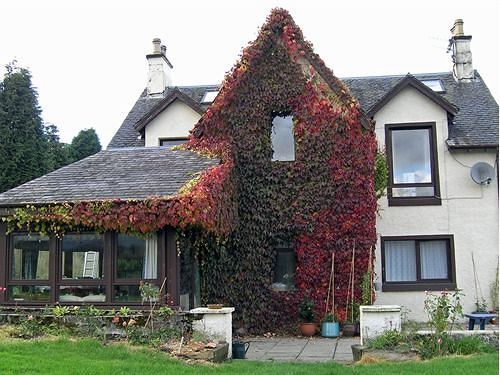 Achnabobane Farmhouse Hotel Spean Bridge Eksteriør billede